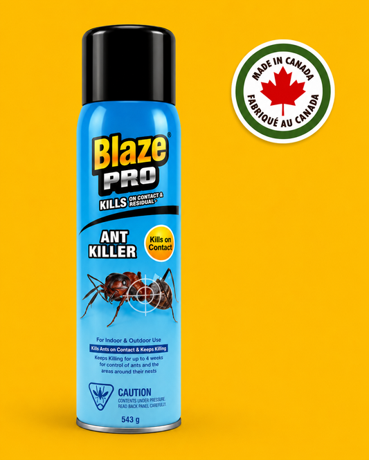 Summer Ant Killer