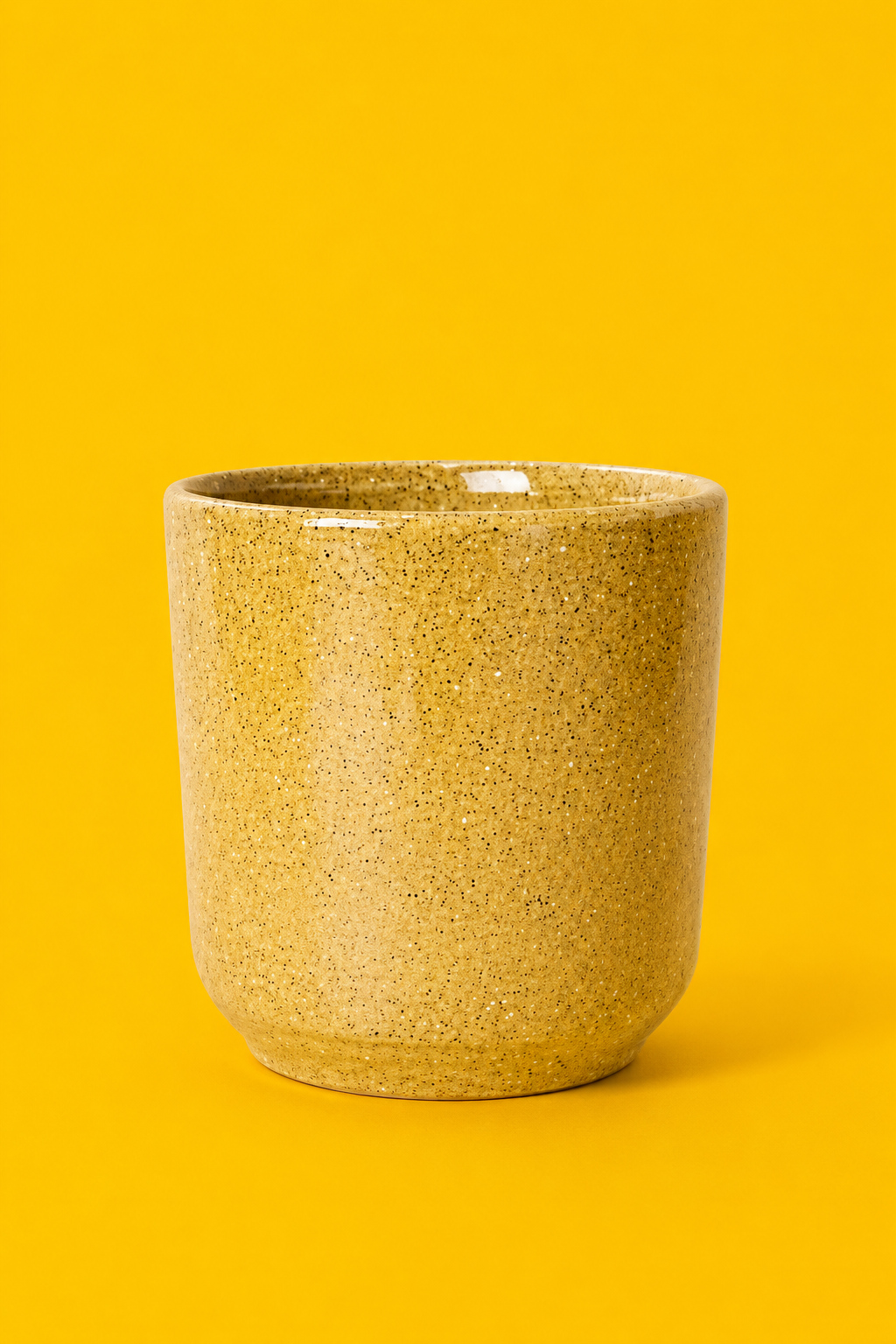 Ceramic Planter