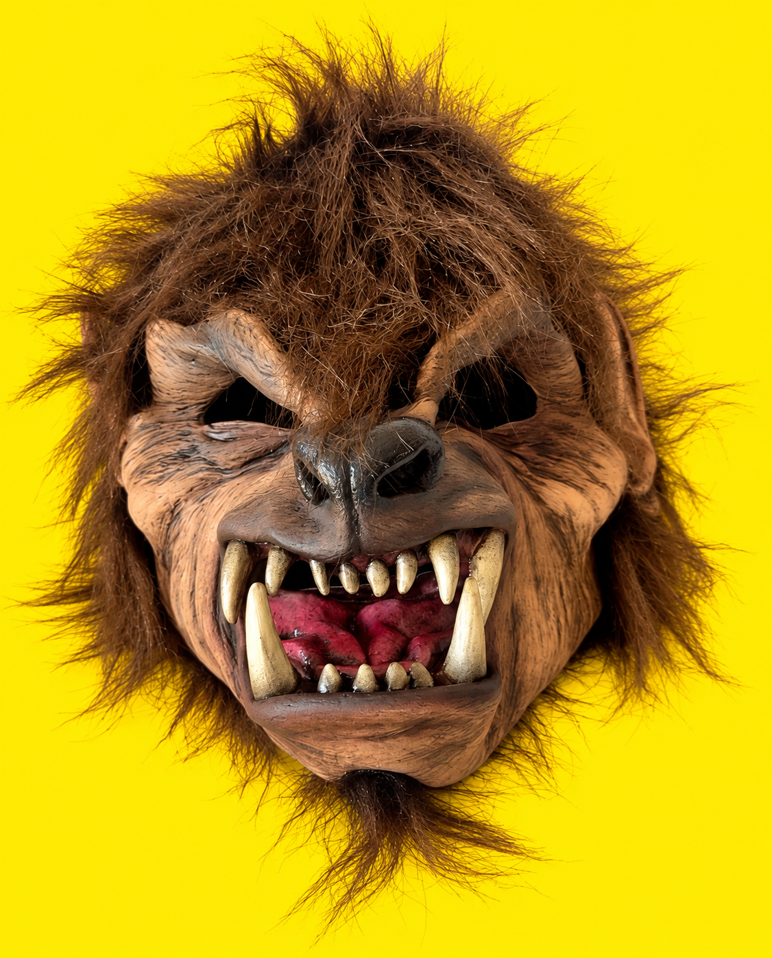 Halloween - Wolf