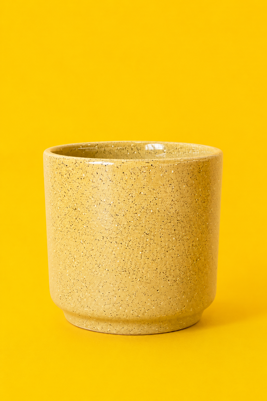 Ceramic Planter