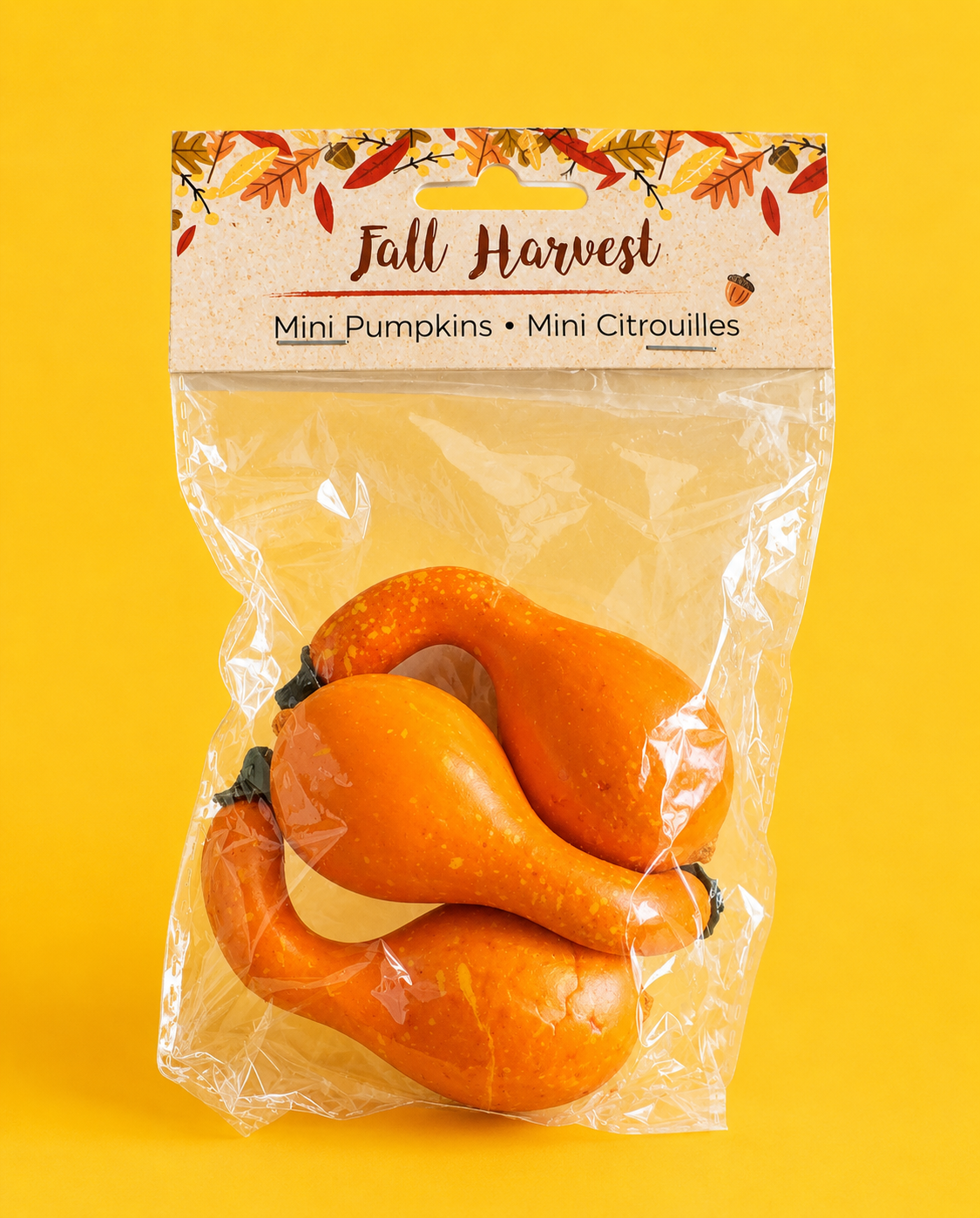 Thanksgiving - Fall Decorations Mini Pumpkins
